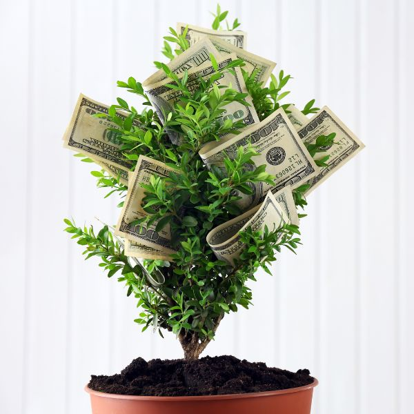 You probably don't want to know the national average salary episode artwork