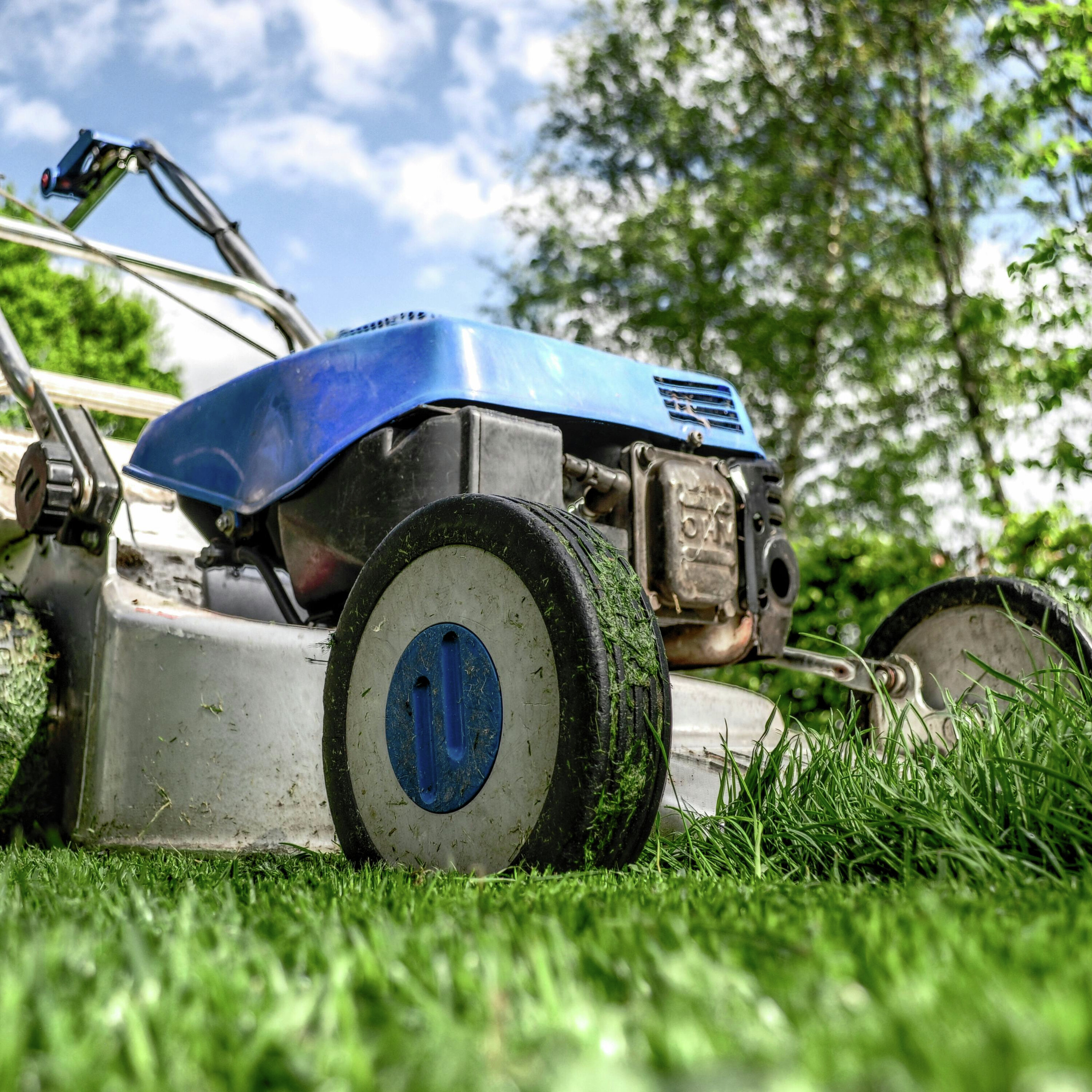 Lawn Care Essentials: Navigating Storm Damage and Professional Services episode artwork