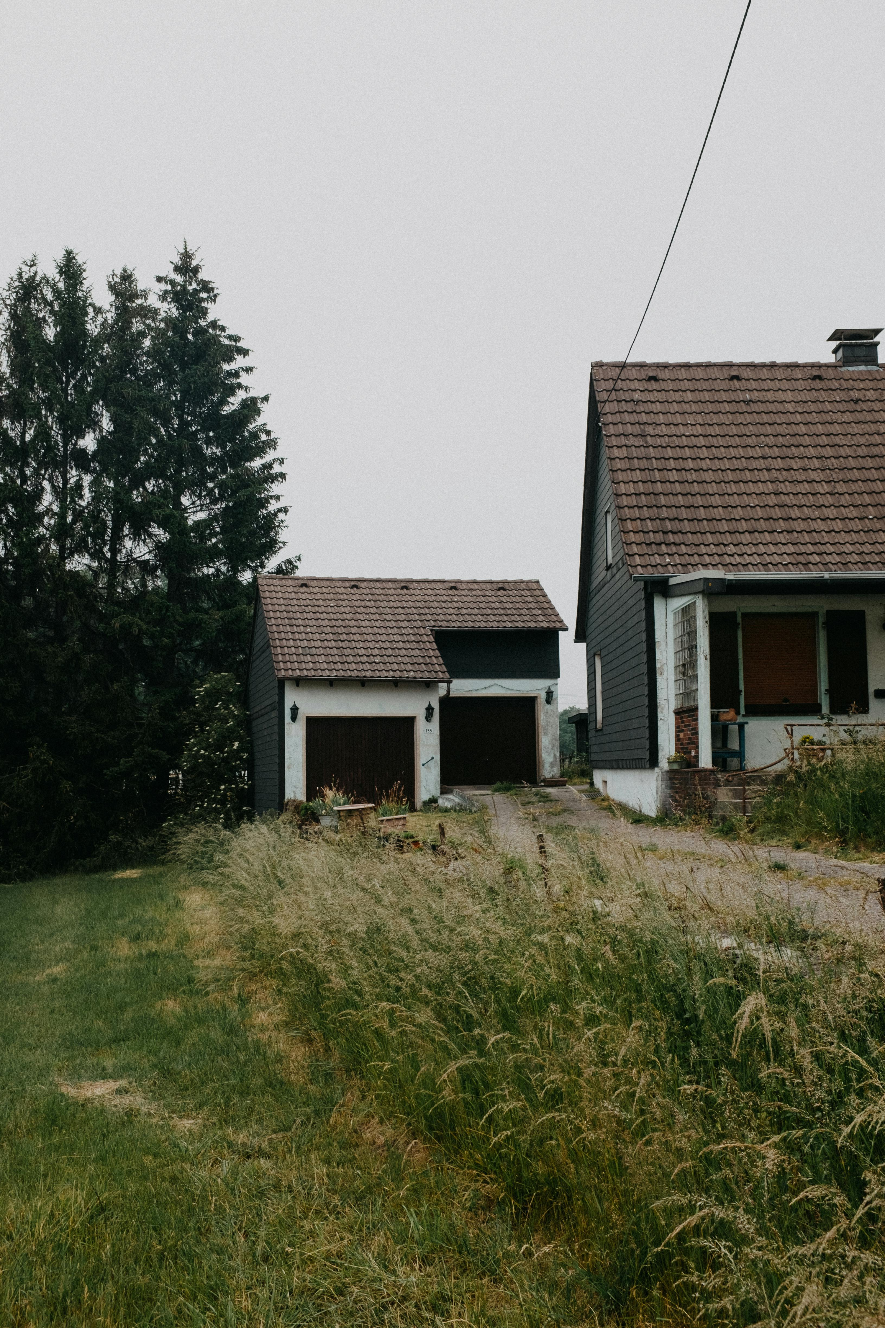 The No-Mow May Movement: A Lawn Care Revolution or Rooted in Misconception? episode artwork