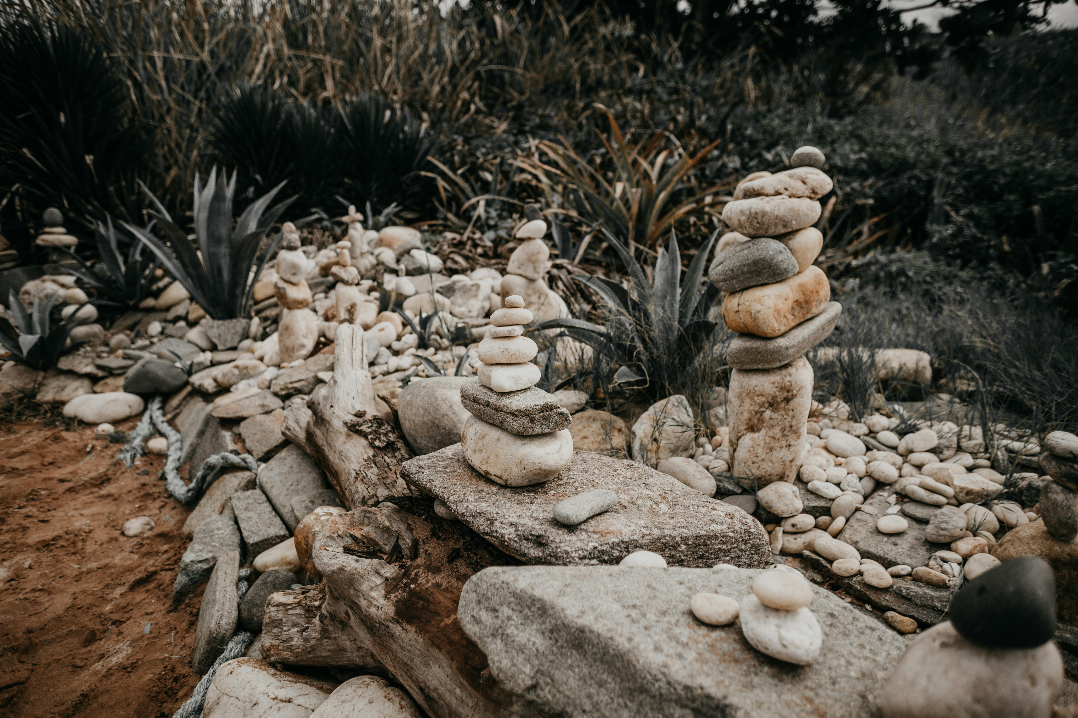 Crafting Your Own Rock Garden Oasis episode artwork