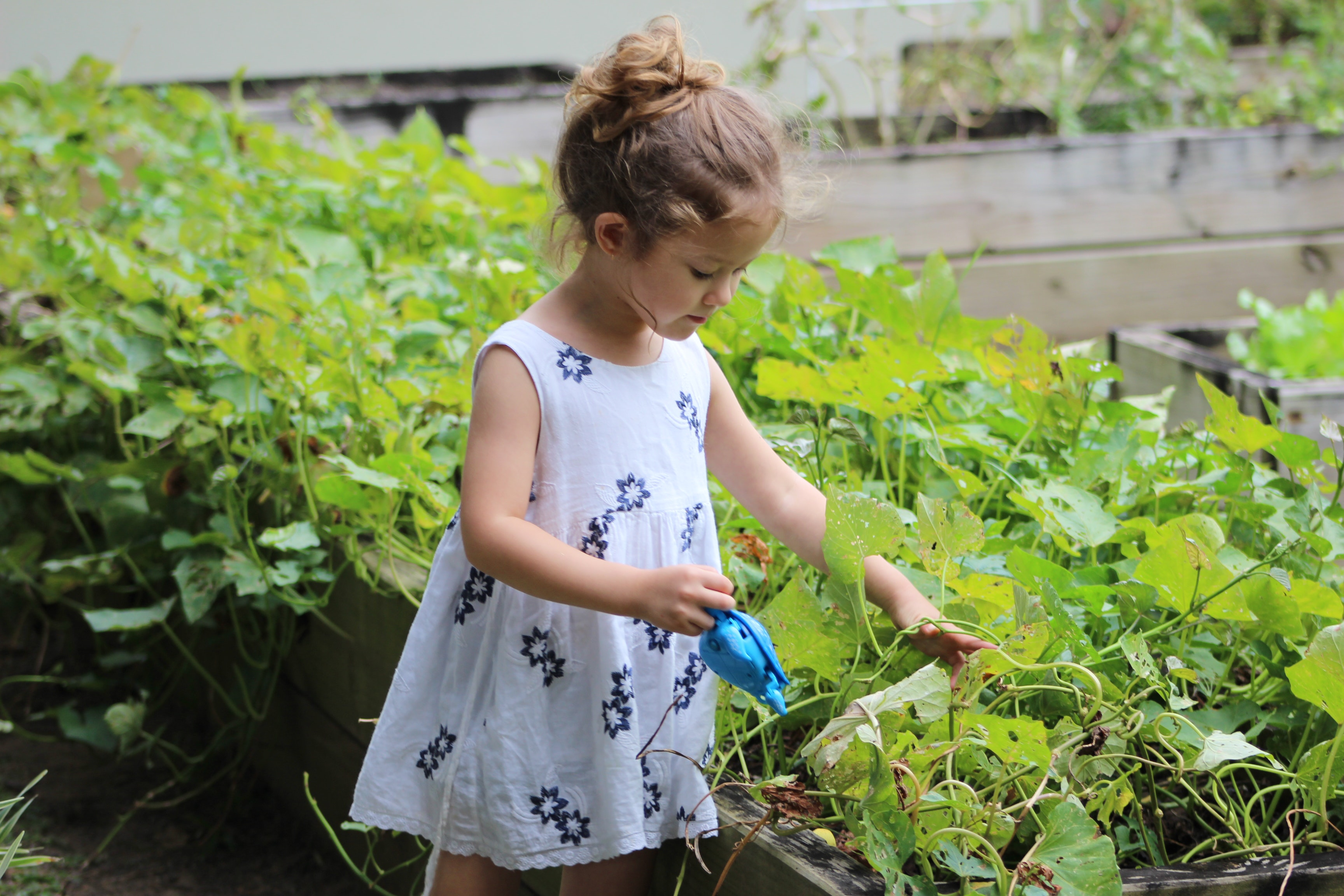 Sunday Product Review and Gardening with Kids