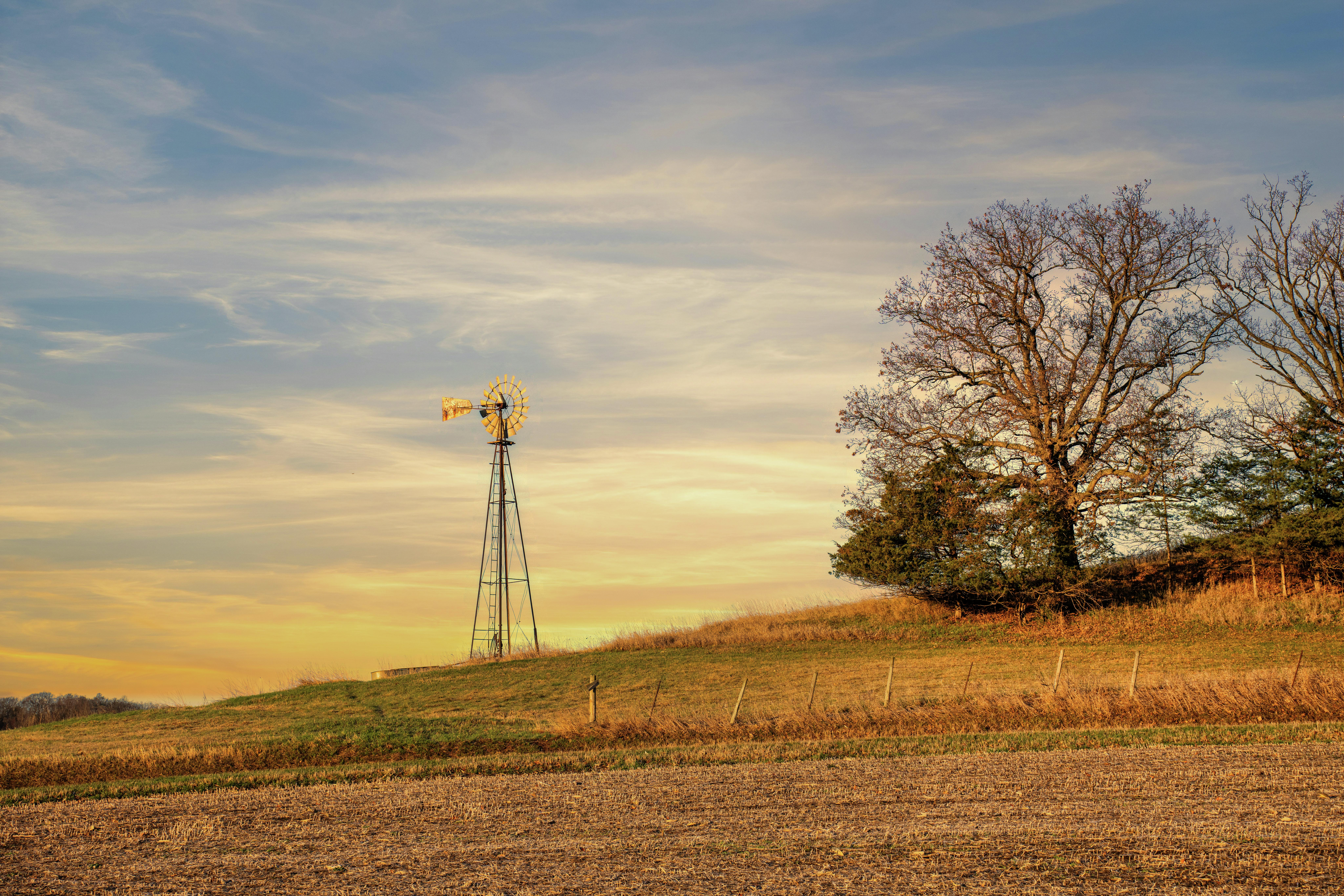 Dry Lawns and High Bills: Efficient Irrigation Tips for Summer