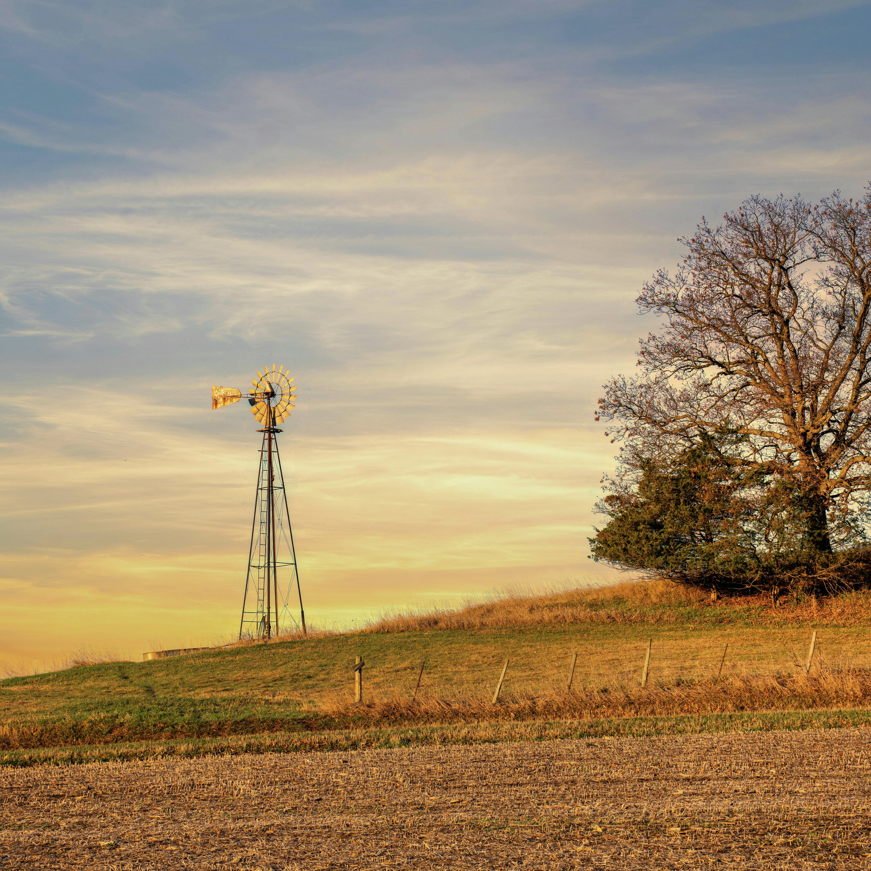 Dry Lawns and High Bills: Efficient Irrigation Tips for Summer episode artwork