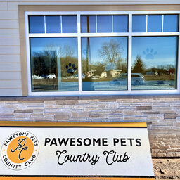BizCast 11: Fun Fur Pets Owner Eve Molhzon on Expanding to Holmen BizCast 11: Fun Fur Pets Owner Eve Molhzon on Expanding to Holmen