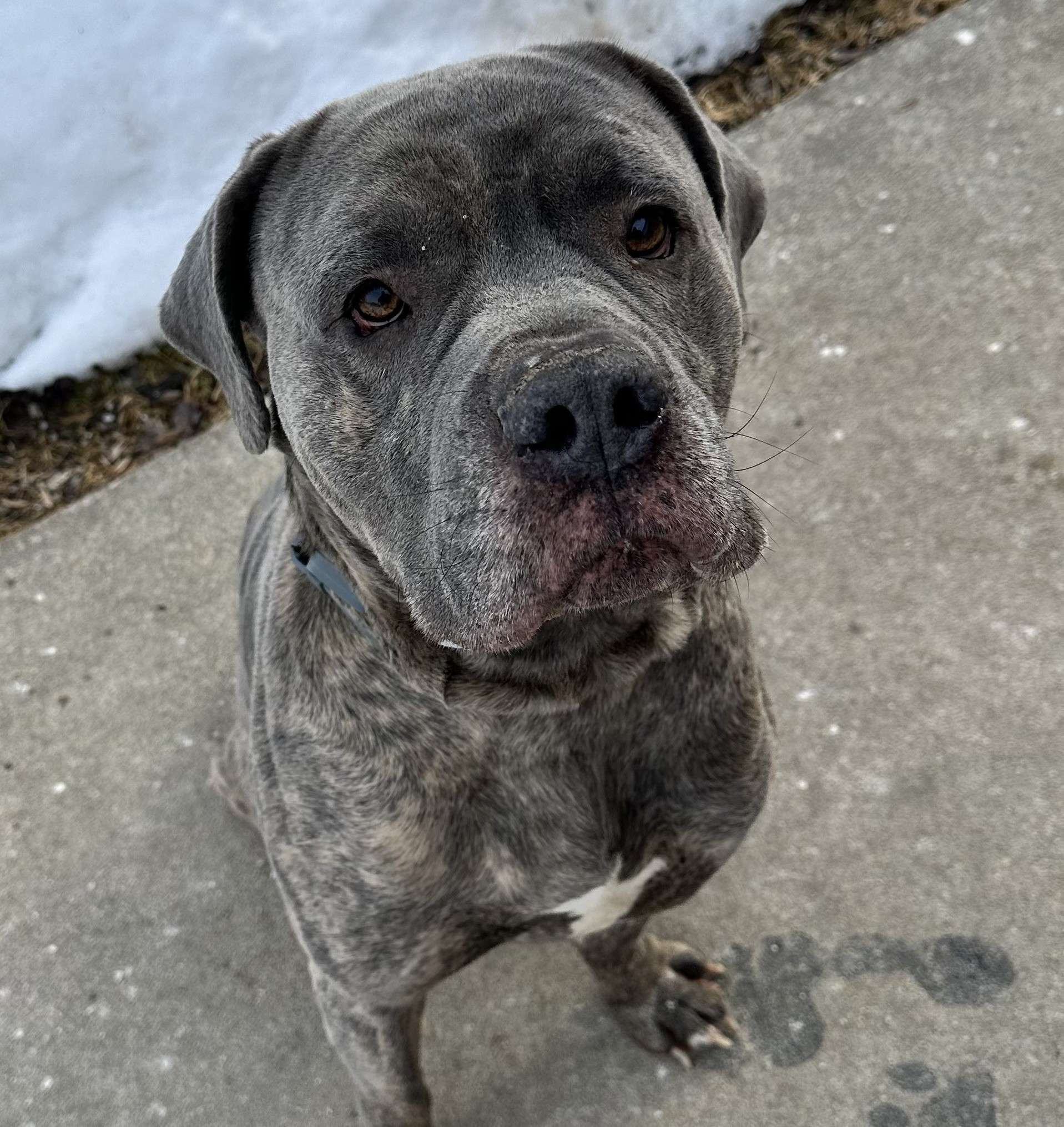 The Mason Jar Cafe's Furry Friends Friday featuring Grumps! 