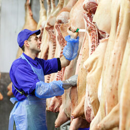 New Program Invests In Future Of Meat Industry