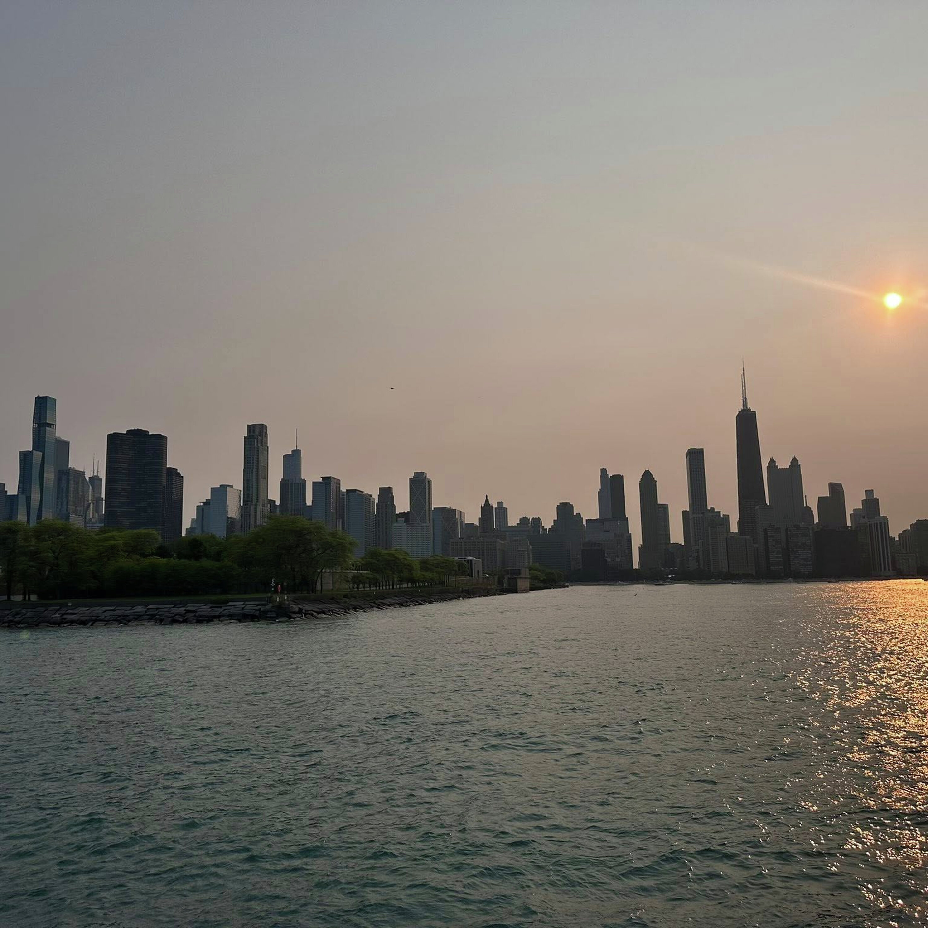 Chicago's 600 Parks Rely On Soybeans