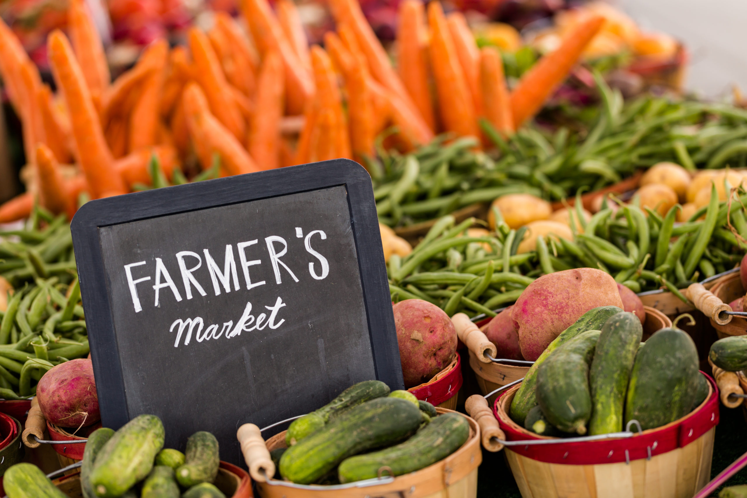 Dane County Farmers Market Returns April 15