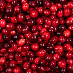 Cranberry Harvest Recap