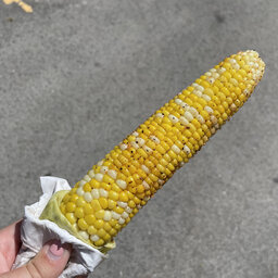 Coordinating Corn For The State Fair
