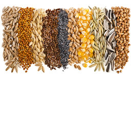 Understanding Seed Trade