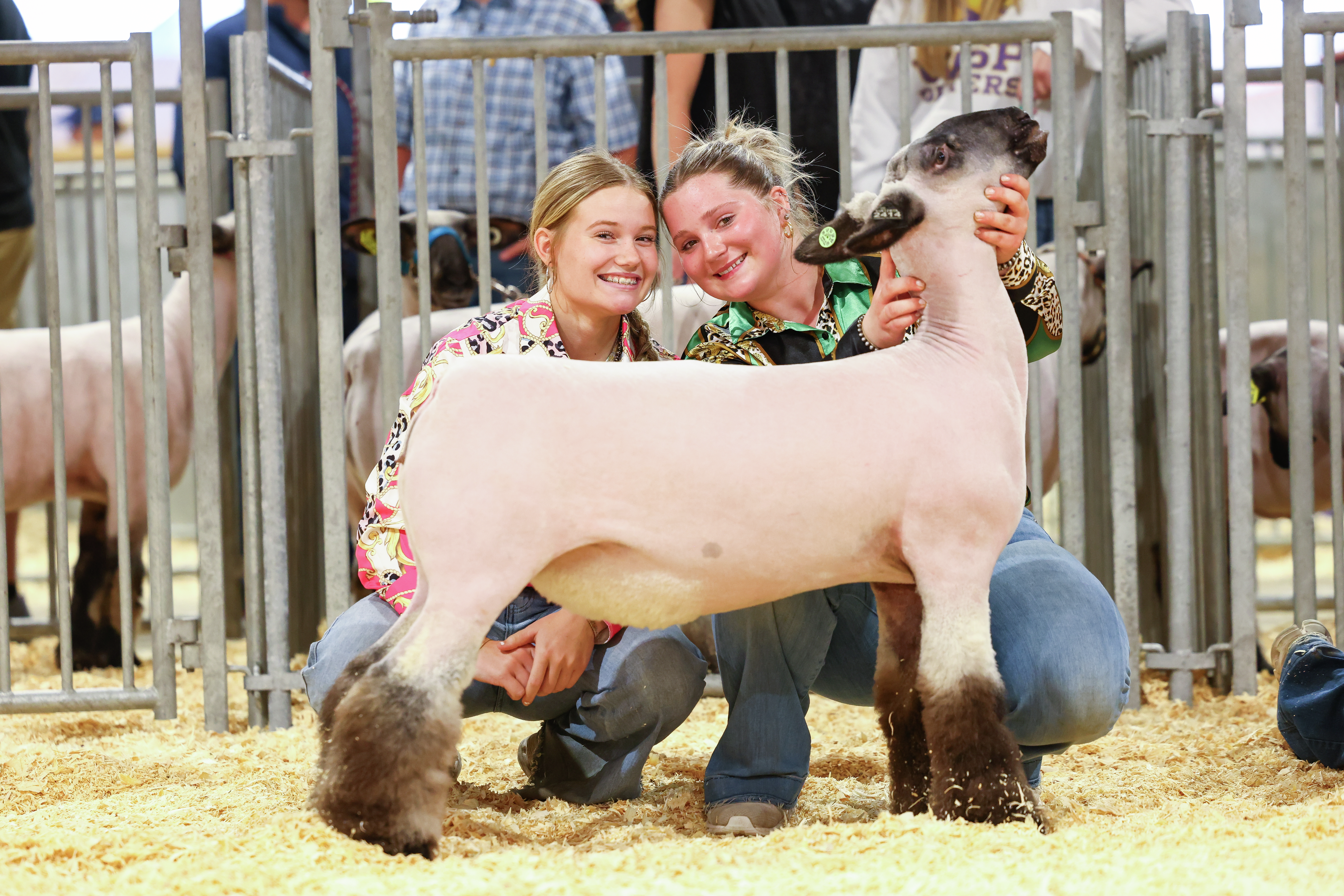 MID-WEST FARM REPORT - MADISON