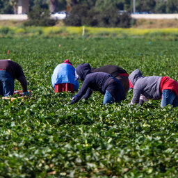 Immigration Is In Farm Bill Discussions