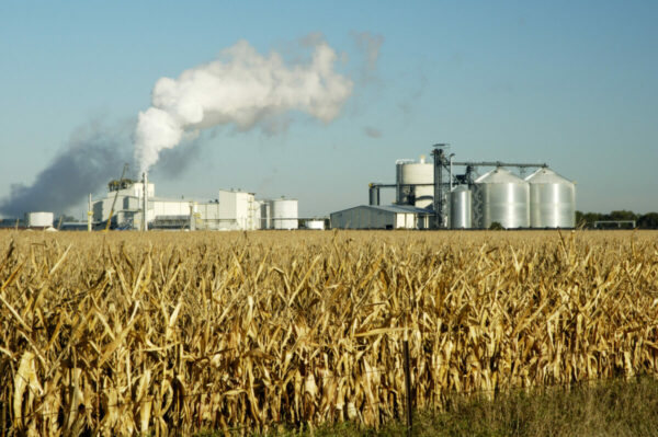 From Regulations to Legislation: Key Updates in the Renewable Fuel Sector
