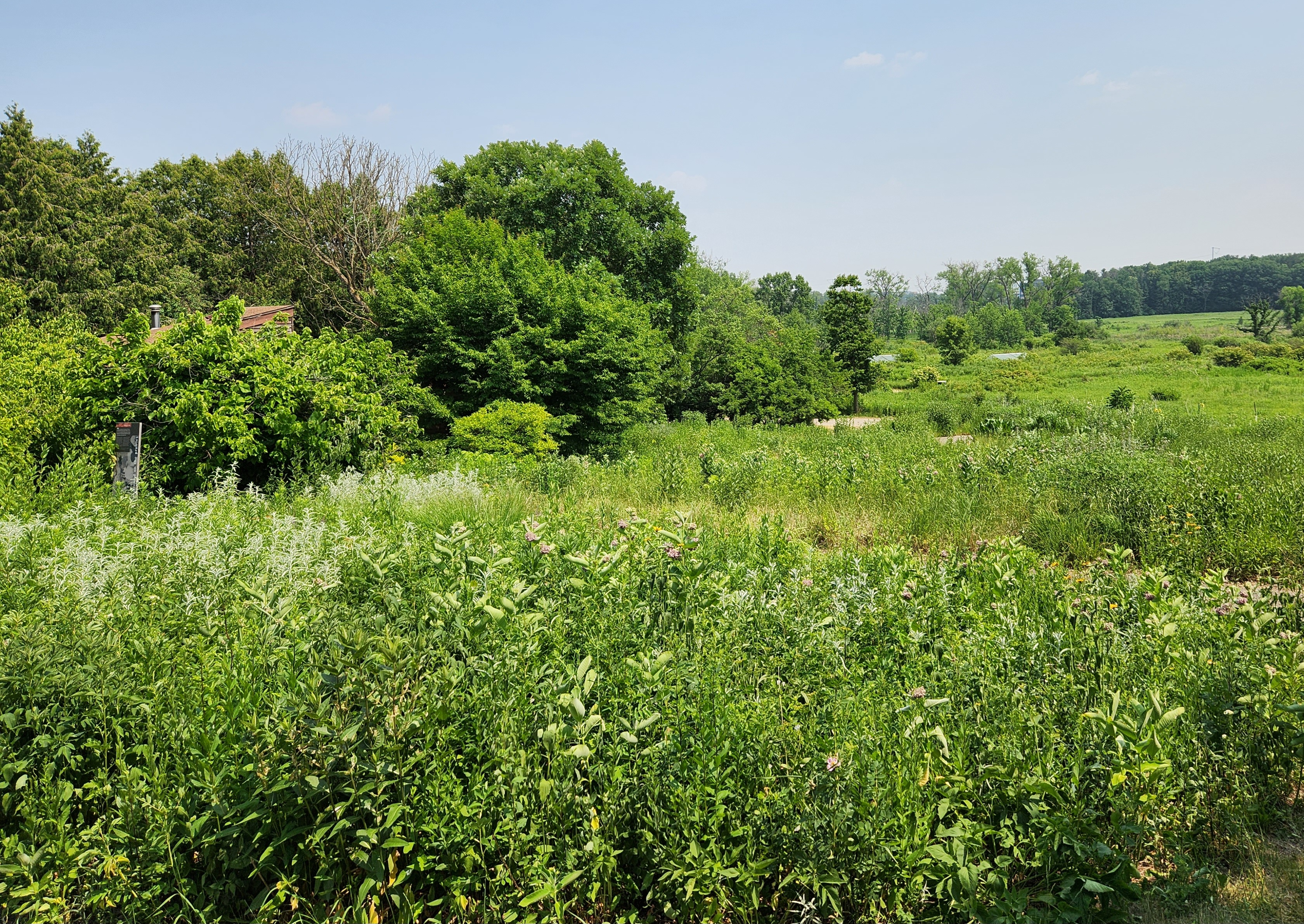 Supporting Wisconsin's Native Plants