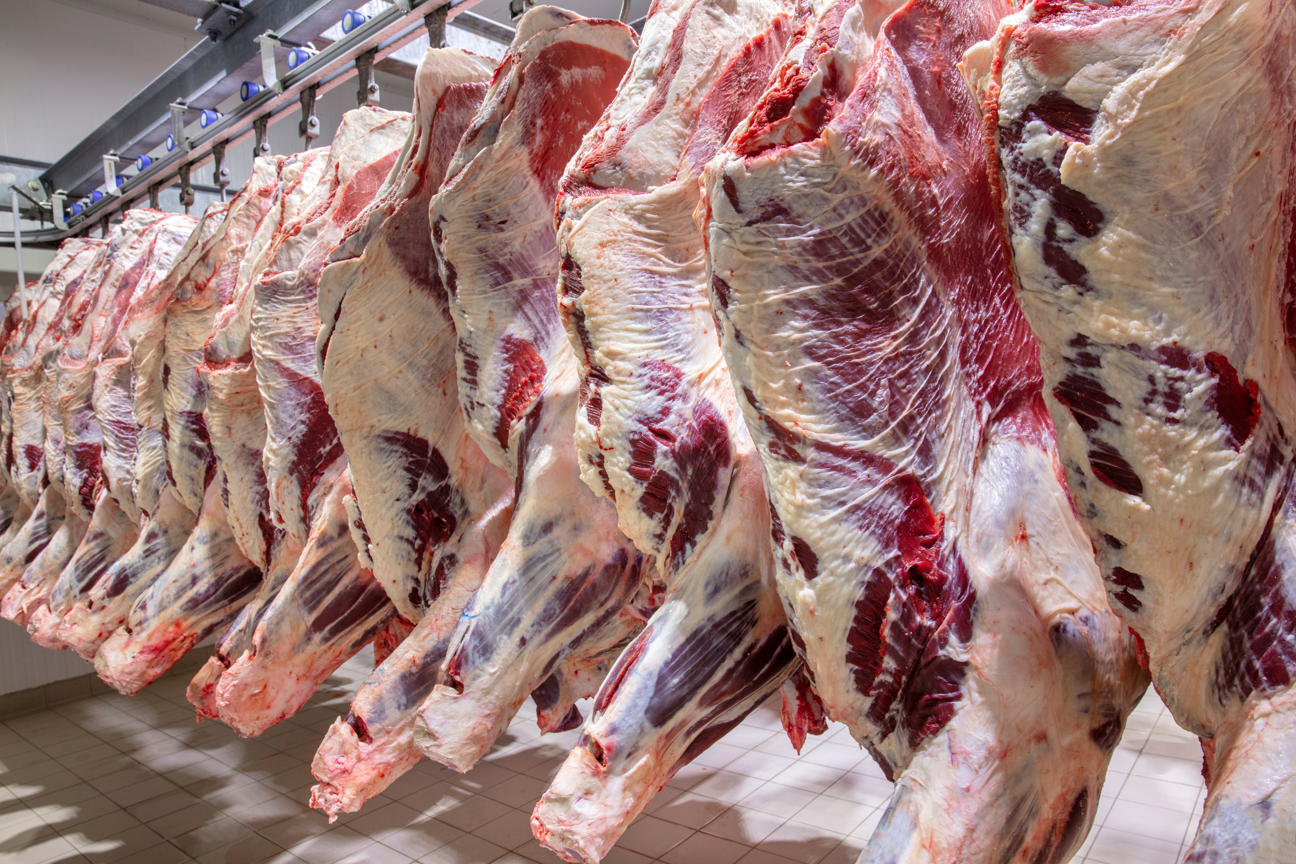 More Disruptions In Meat Processing