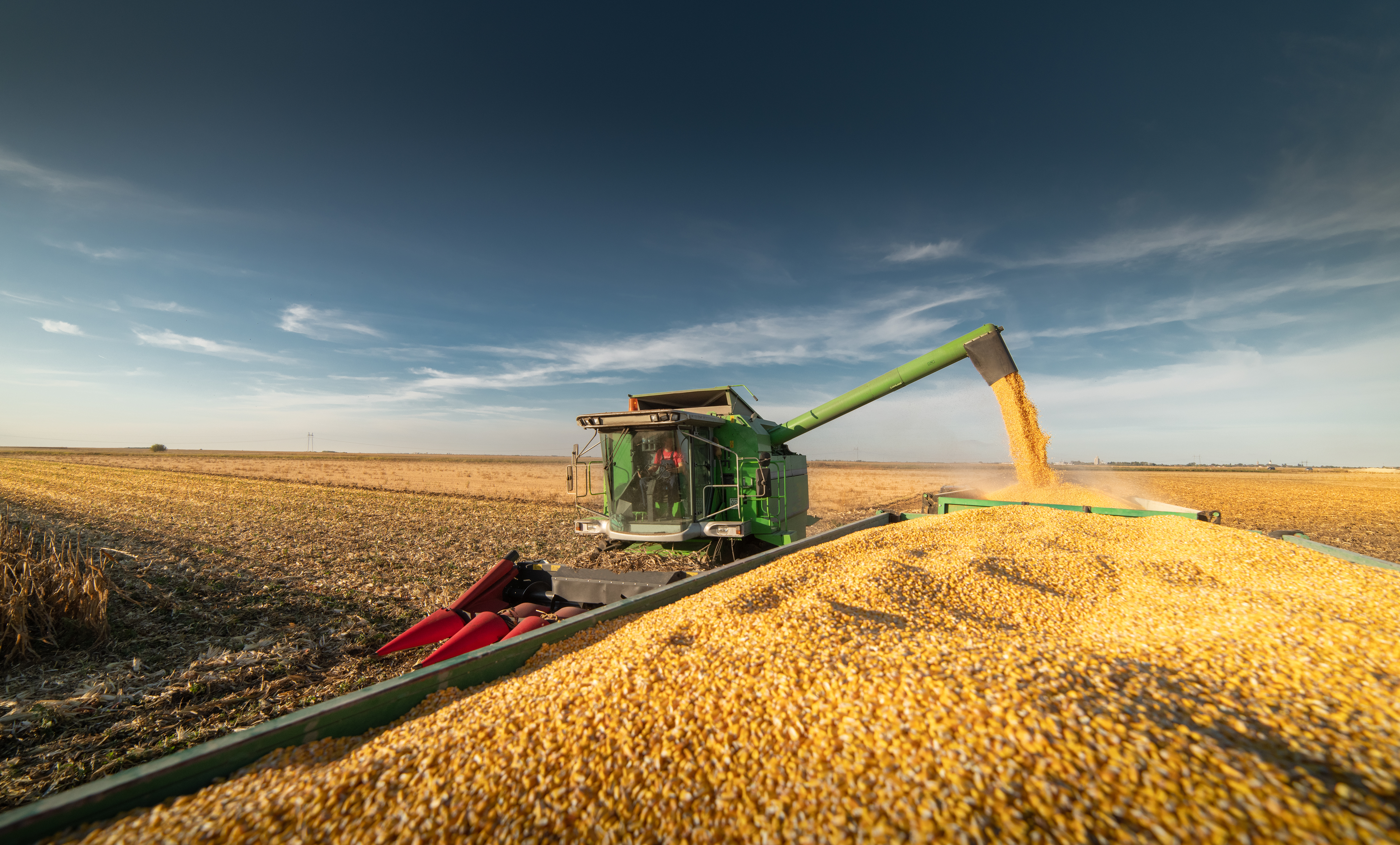 Fall Yields Strong While Supply Chain Falters