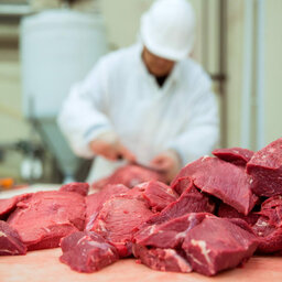 Deadline Coming For Meat Dollars