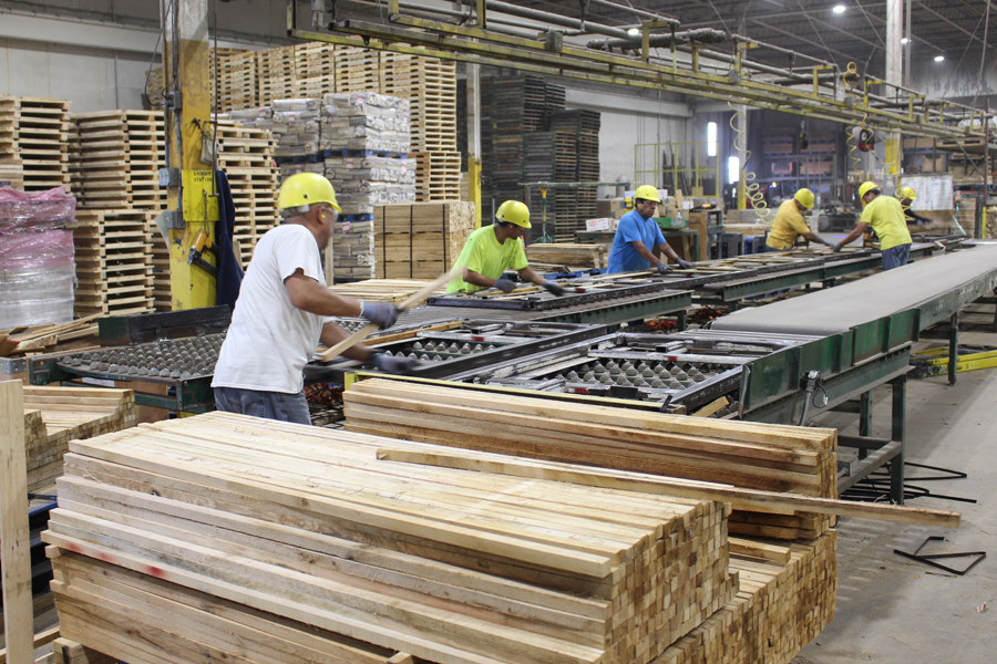 From Wood-Based Glass To Water Filters, Forestry Innovates