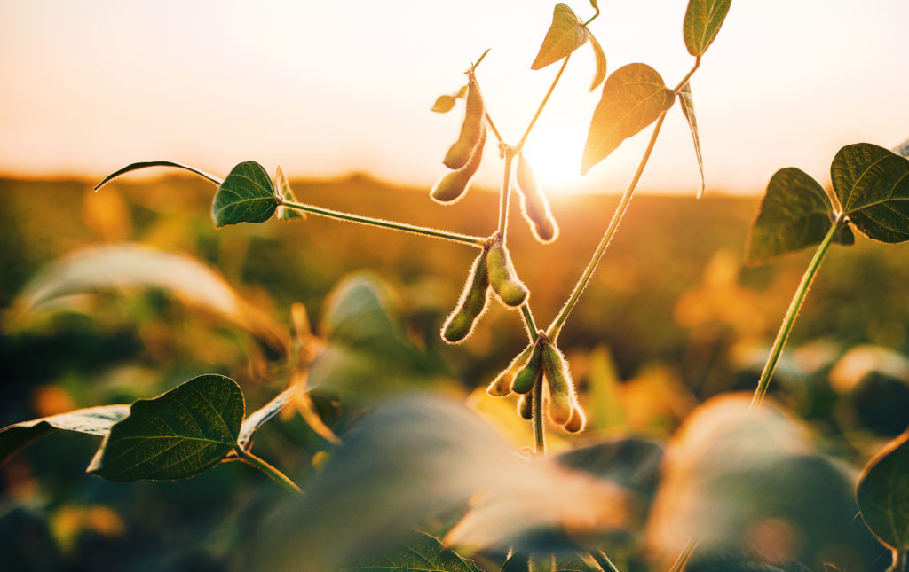 2023 Global Commodities Outlook