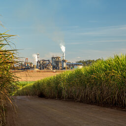 A Growing Ethanol Market In Southeast Asia