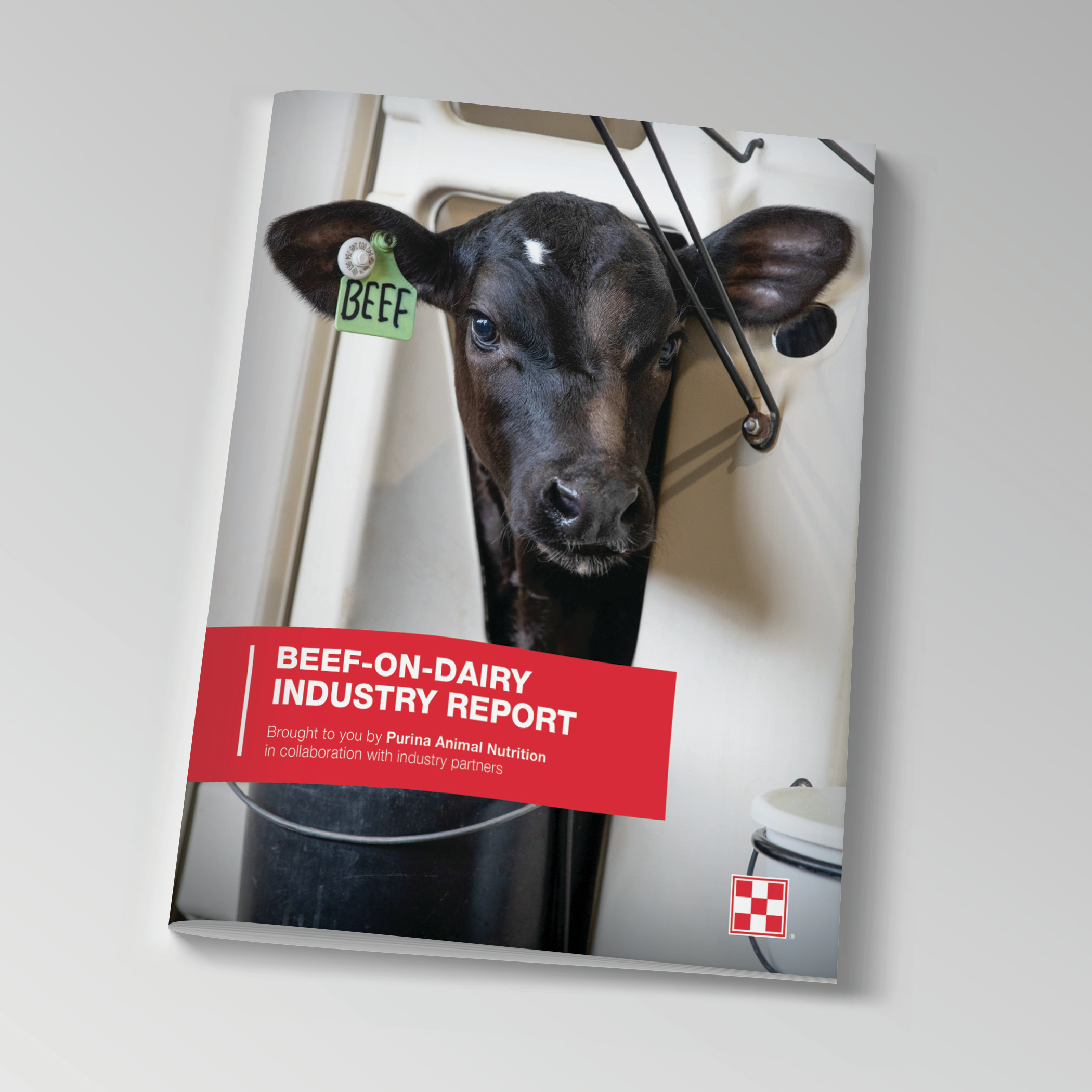 Beef-On-Dairy Industry Report - Dr. Troy Wistuba