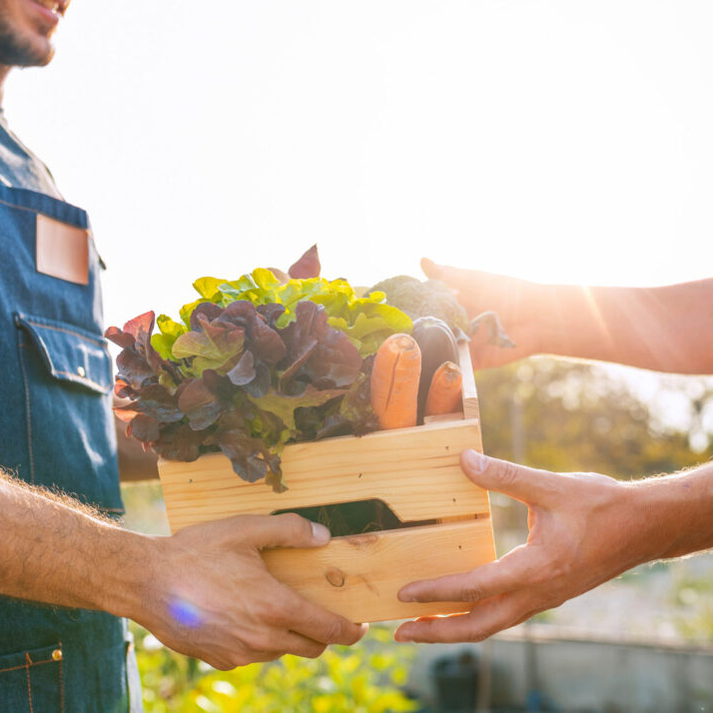 MID-WEST FARM REPORT - MADISON