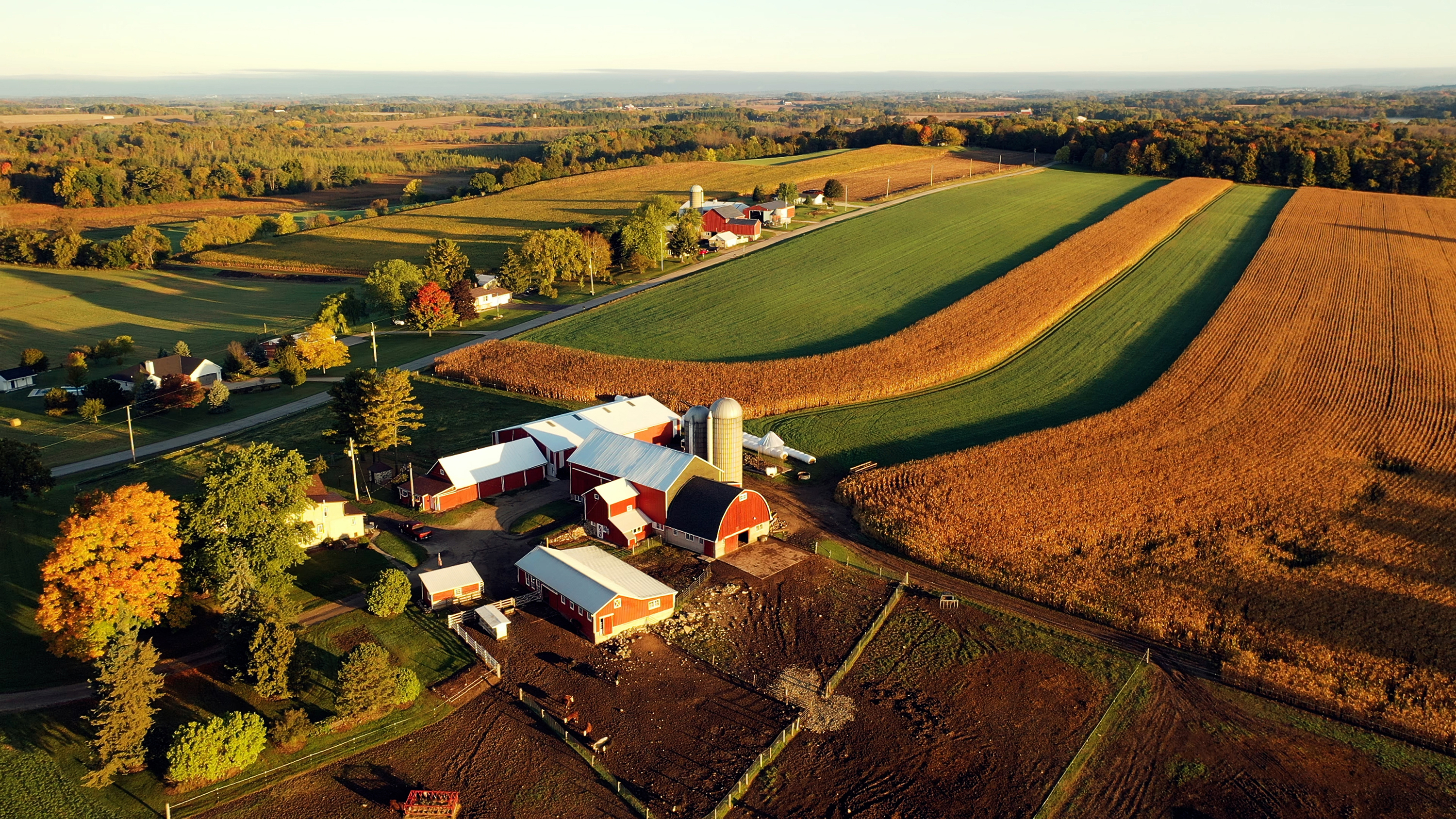 Continuing The Farm's Legacy