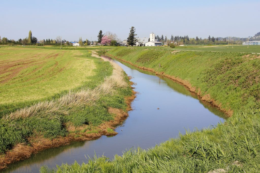 Grass Waterways Hold Great Benefits