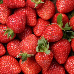 Cool spring puts small delay on strawberry season