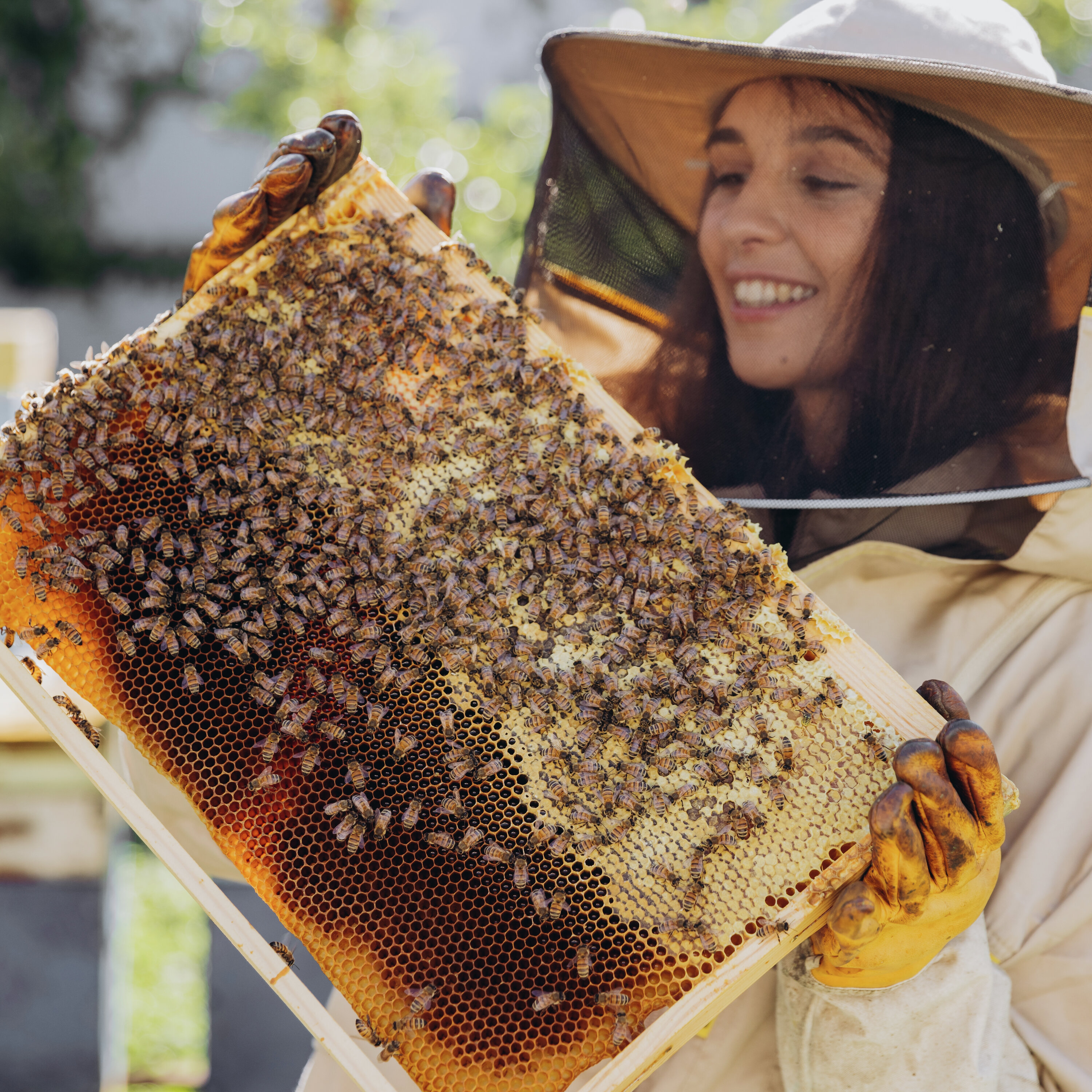 Wisconsin Honey Producers Continue Youth Investment Wisconsin Honey Producers Continue Youth Investment