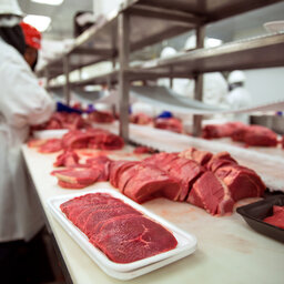 WFU Releases Meat Processing Report