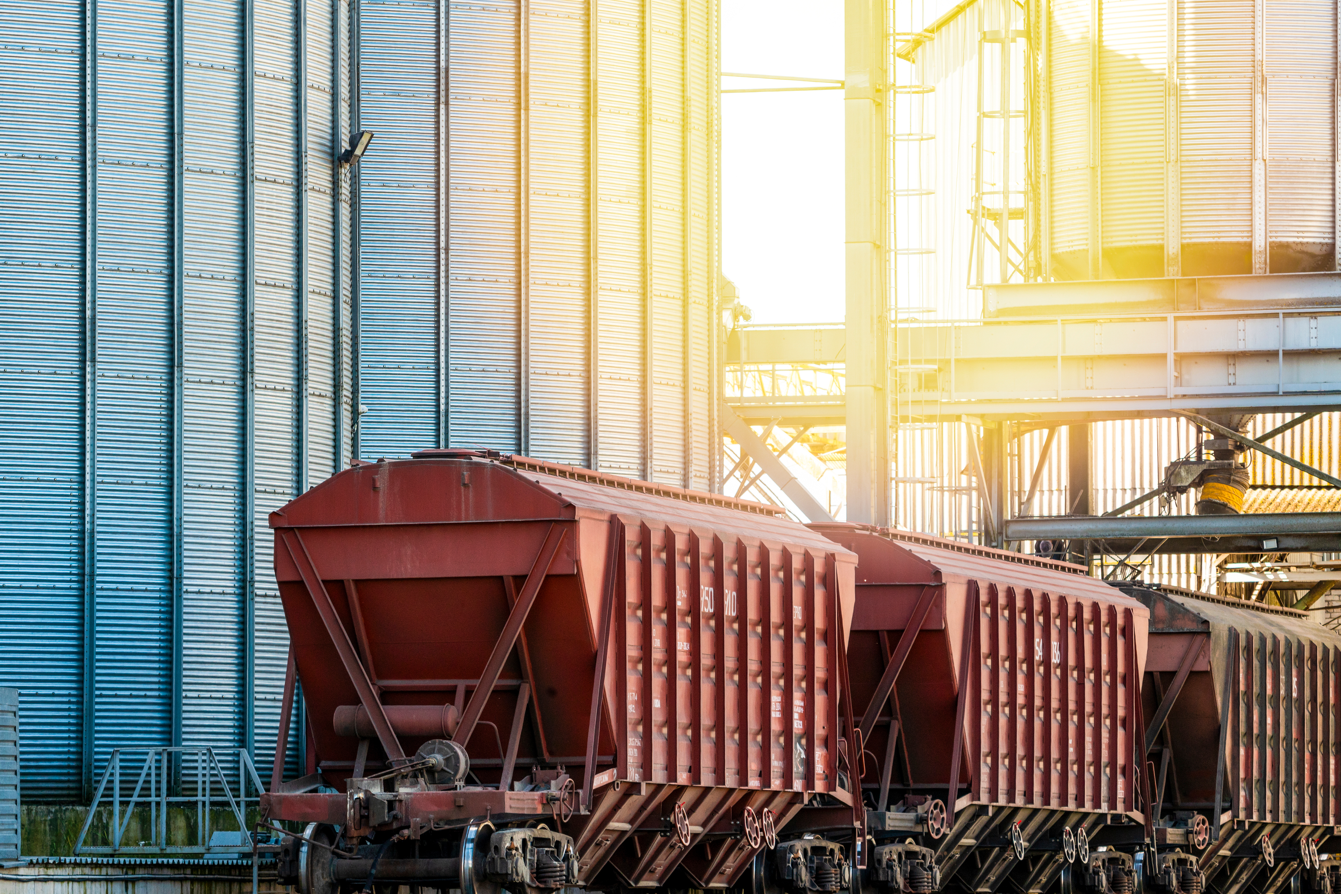 The Challenges of Transporting and Storing Grain