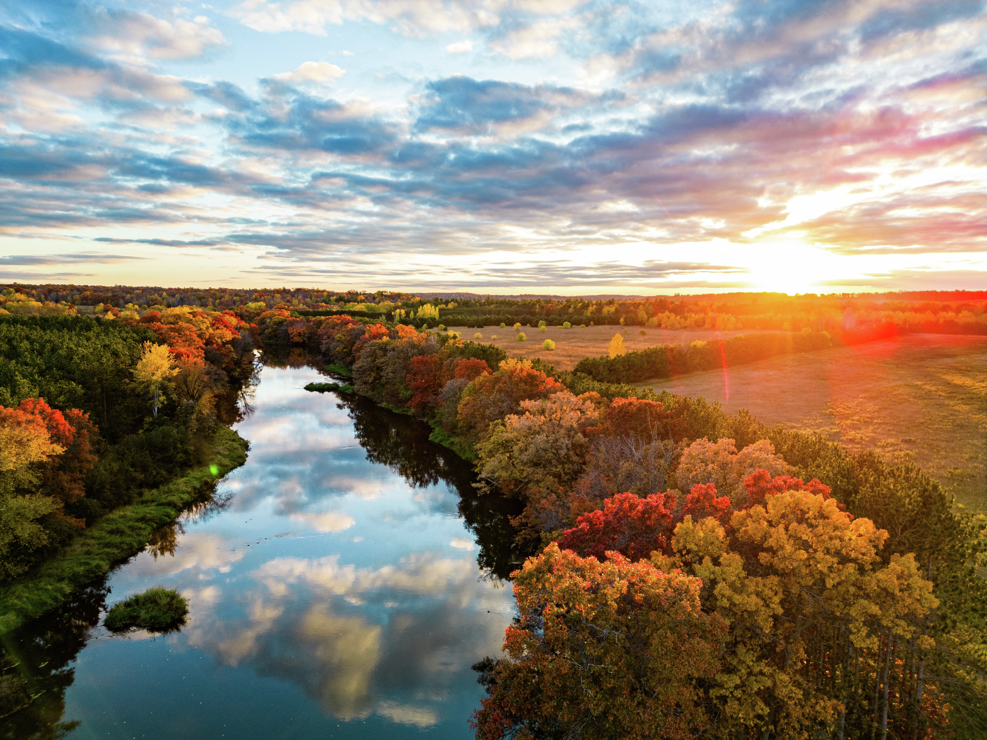 Keep Woodlands Serene With Forest Management Plan episode artwork