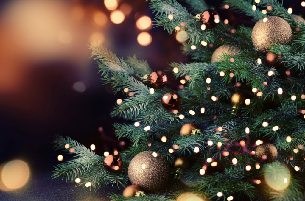 Christmas Trees Can Create Fire Hazards