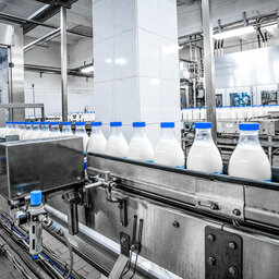 Keep Dairy Processing In Mind