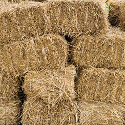 Finding Quality Hay: How Far and How Much?
