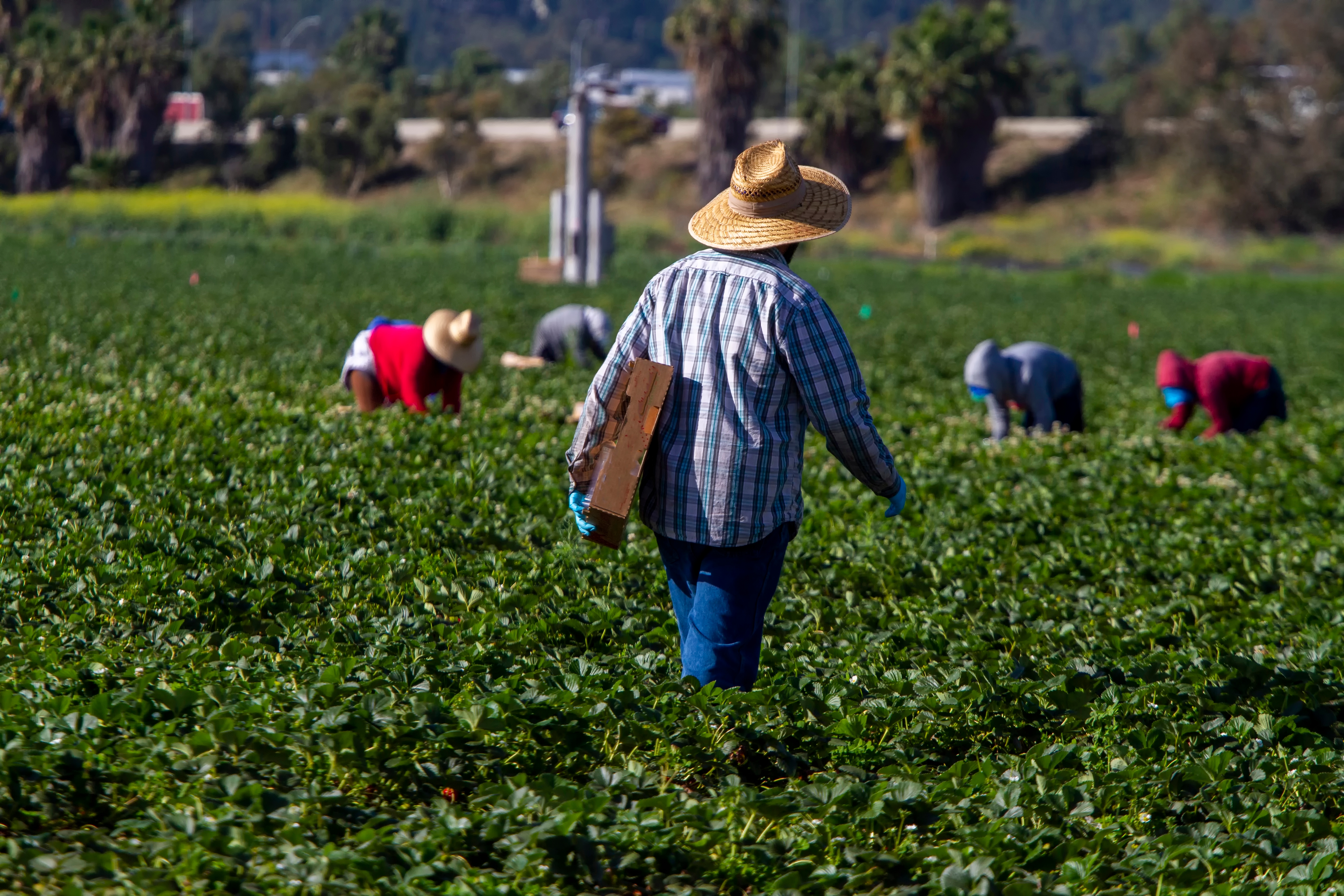 How To Detect Labor Trafficking
