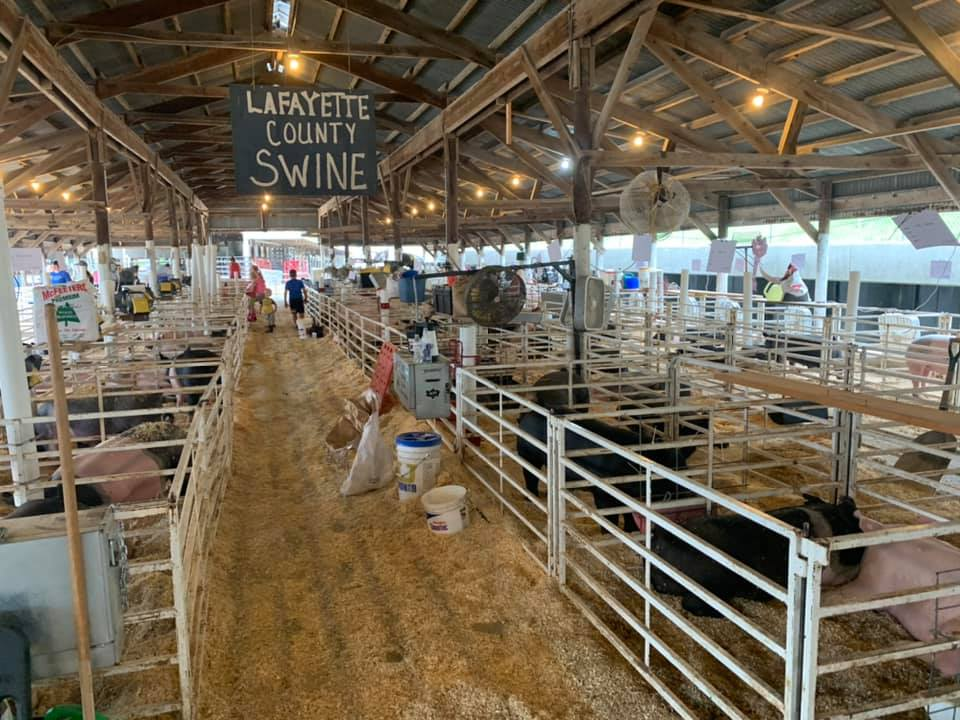 Lafayette Co. Youth Exhibitor Gratfeul Fair Happened