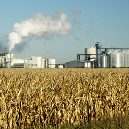 Ethanol's response to high corn and fuel prices