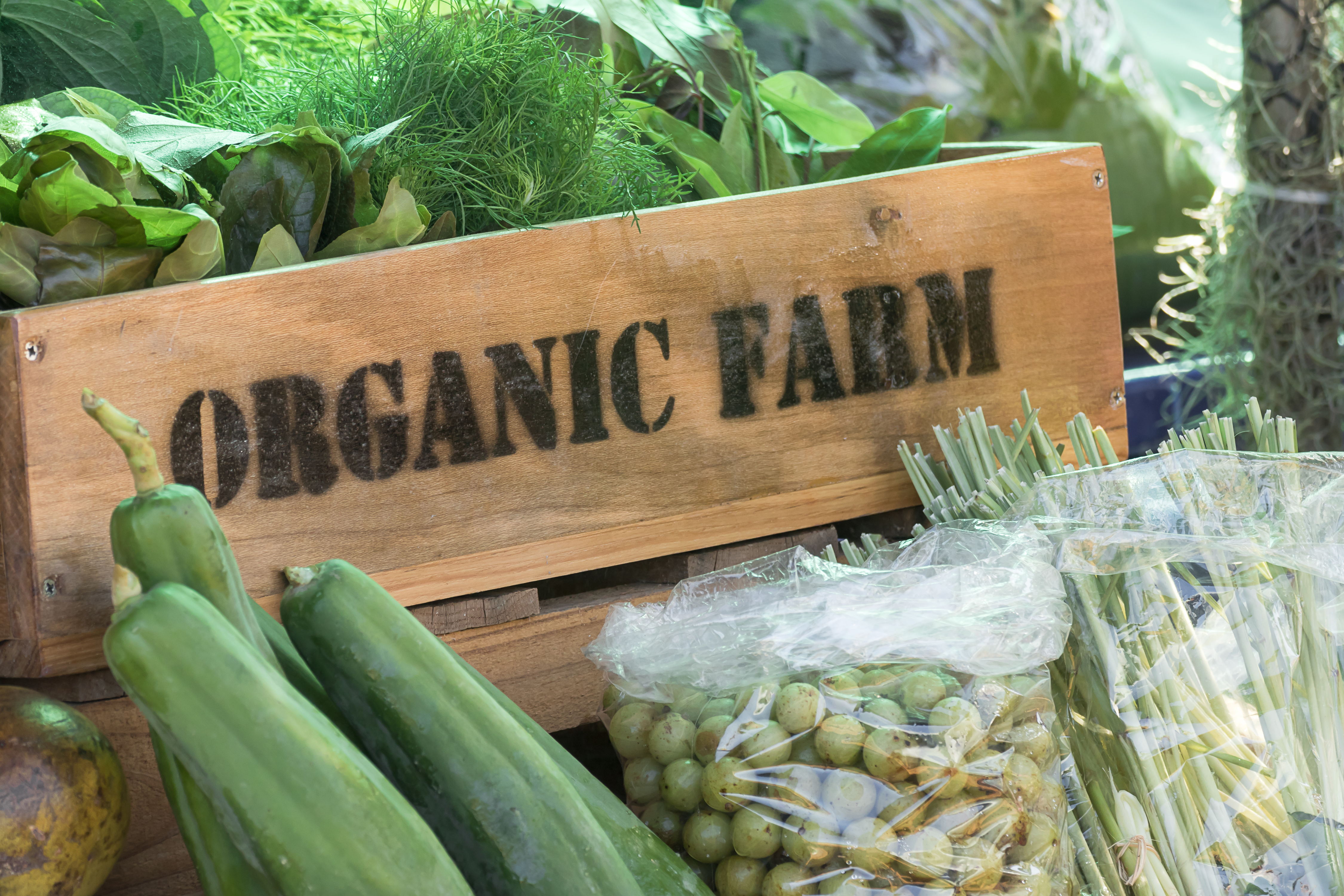 Creating Legislation To Support Wisconsin's Organic Agriculture