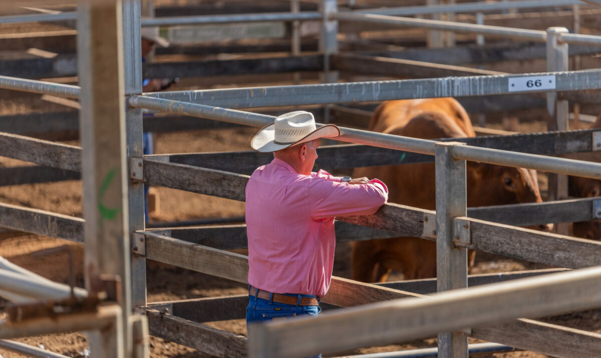 Equity CEO Sounds Alarm Over Proposed 1,700% State Fee Hike