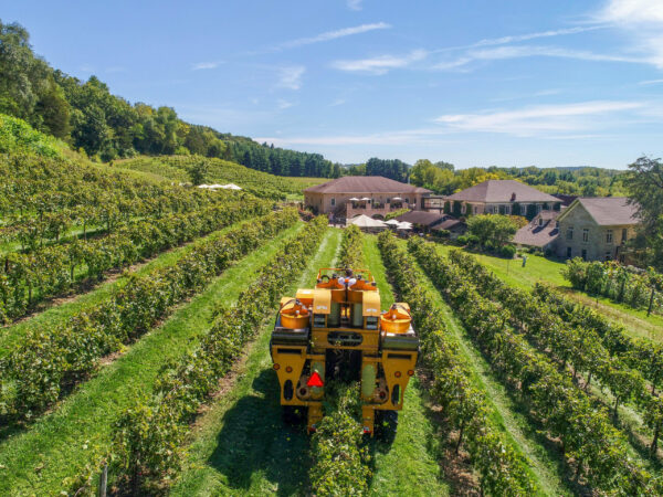 Grape Harvest Underway at Wollersheim Winery