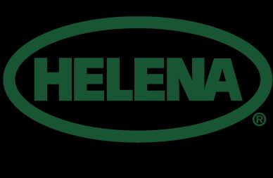 Burn Down - Critical Topic This Spring - Dean Ebert