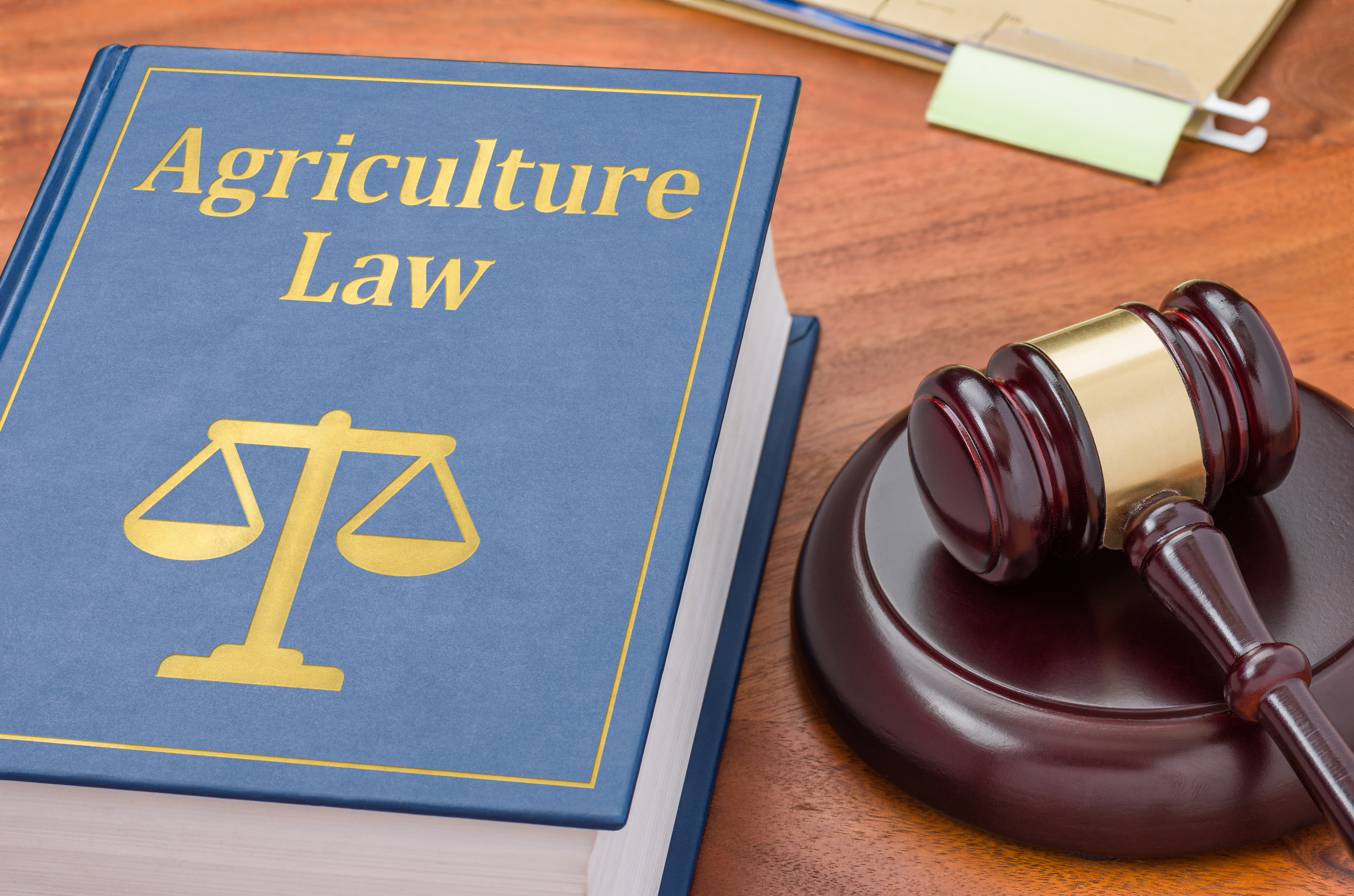 Choosing the Right Legal Structure for Your Farm