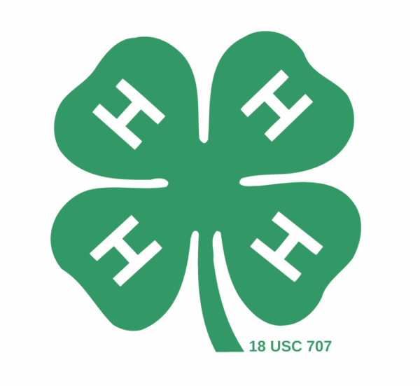 Celebrating National 4-H Week: Empowering Future Leaders Through Hands-On Learning