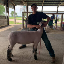 Dodge County Youth Livestock Expo a Success