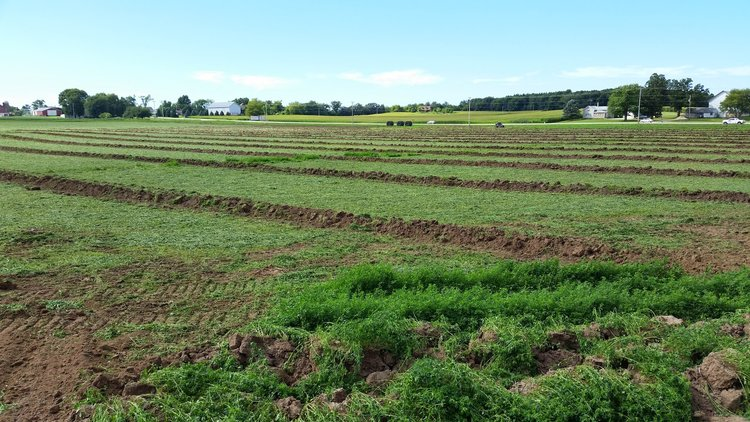 Boosting Yields With Tile Systems