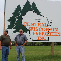 Wisconsin Trees In High Demand
