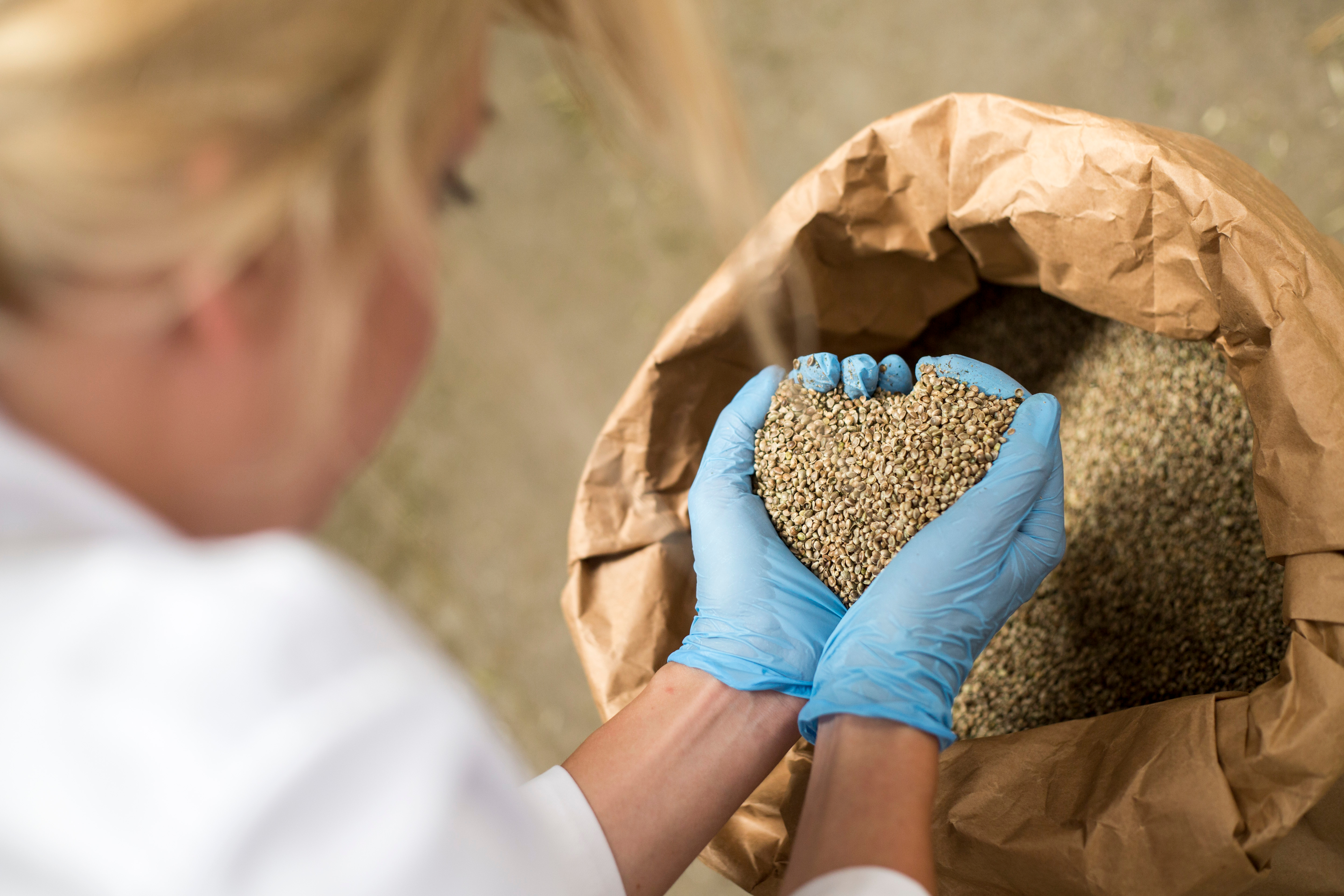 Developing, Transporting & Protecting Seeds In 2022